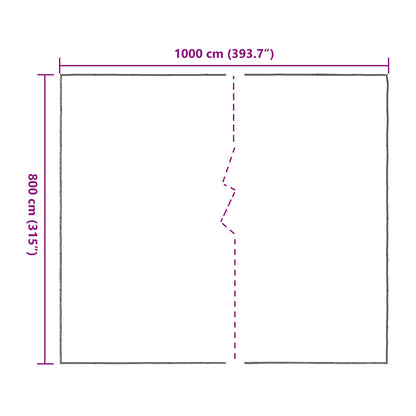 Plant Cover Transparent 8 x 10 m PE