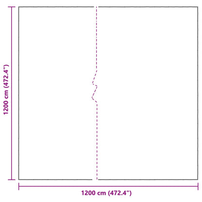 Plant Cover Transparent 12 x 12 m PE