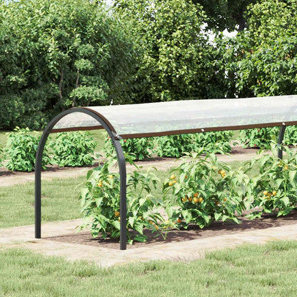 Plant Cover Transparent 2.5 x 1.5 m PE