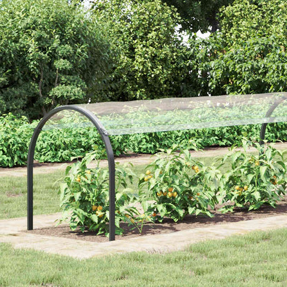 Plant Cover Transparent 1 x 12 m PVC
