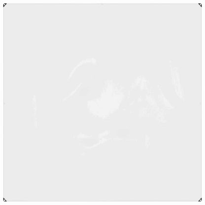 Plant Cover Transparent 2 x 2 m PVC