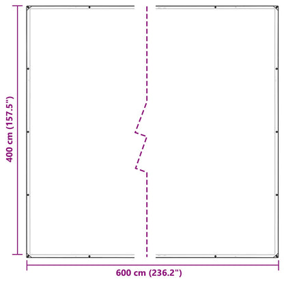Plant Cover Transparent 4 x 6 m PVC