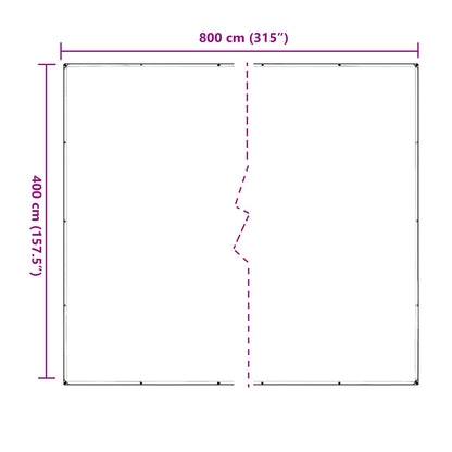 Plant Cover Transparent 4 x 8 m PVC