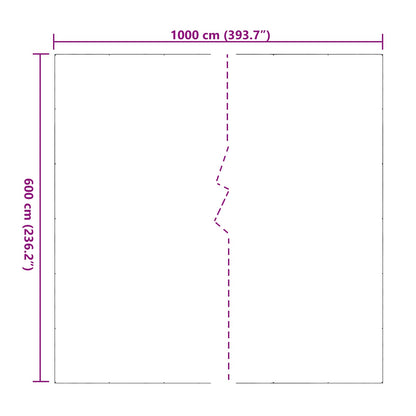 Plant Cover Transparent 6 x 10 m PVC