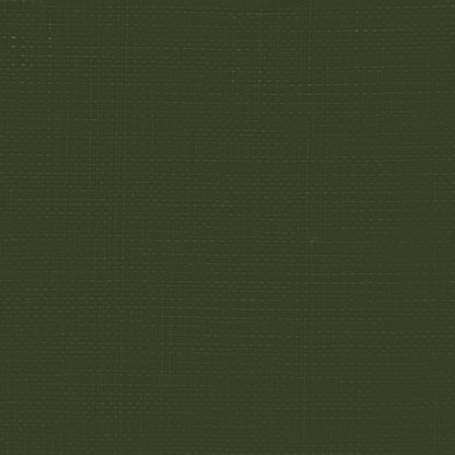 Tarpaulin with Eyelets Green 6 x 12 m 260 gsm PE