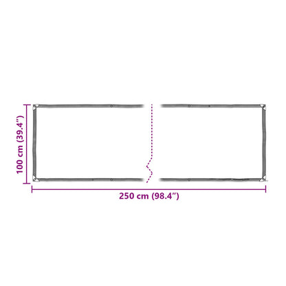 Tarpaulin Transparent 2.5 x 1 m PE