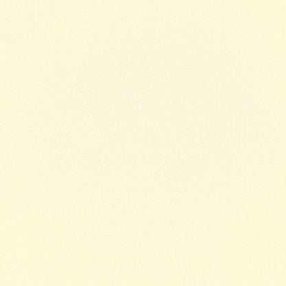 Outdoor Roller Blind UV Protection Cream 160 x 140 cm (W x H)