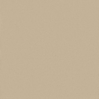 Outdoor Roller Blind UV Protection Beige 80 x 140 cm (W x H)