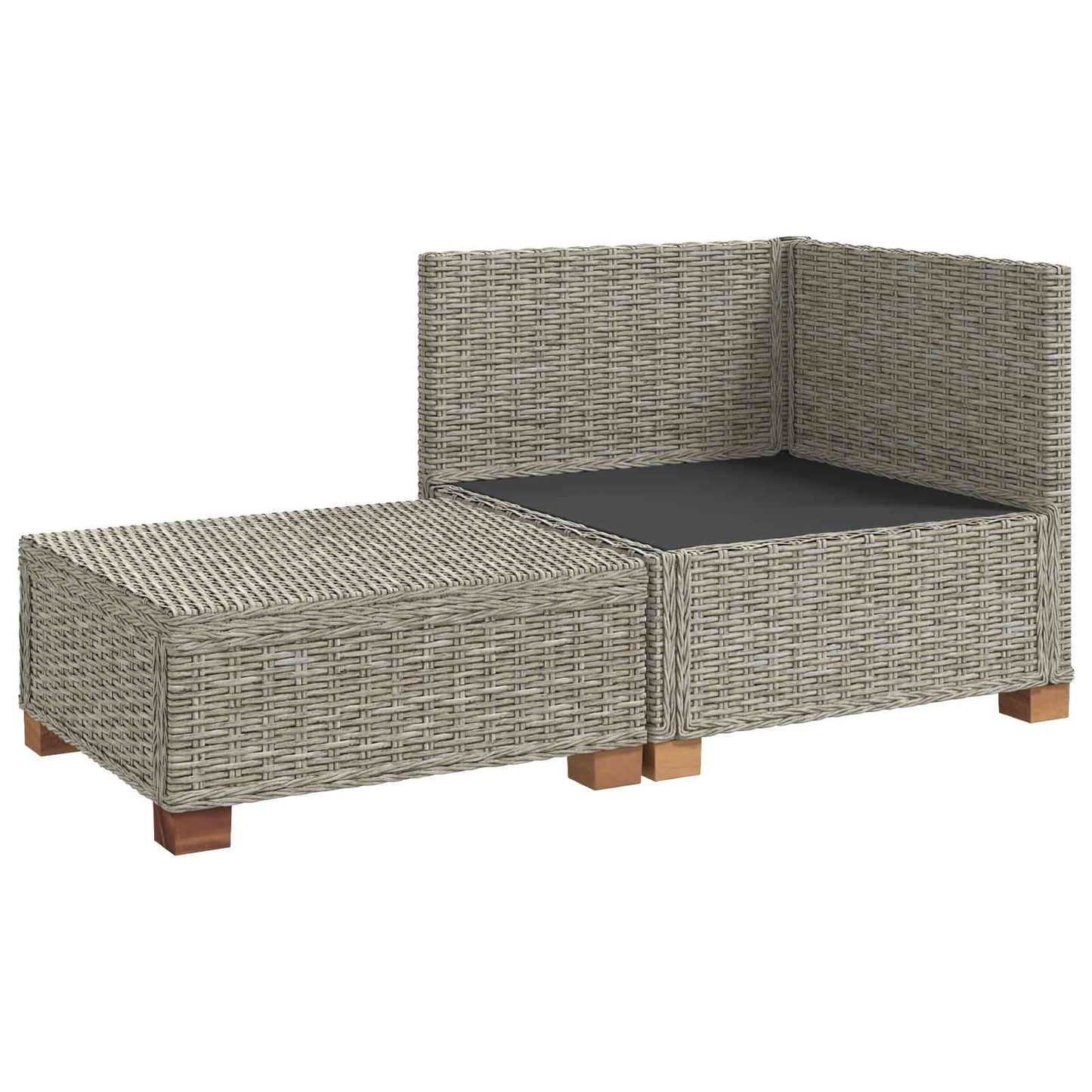 2 pcs Rattan Lounge Set with Cushions GENDT Natural Rattan