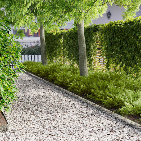Lawn Edging 20 pcs 103 x 10 cm Steel Silver