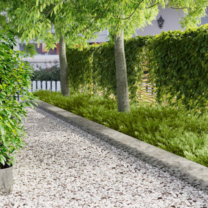 Lawn Edging 20 pcs 103 x 25 cm Steel Silver