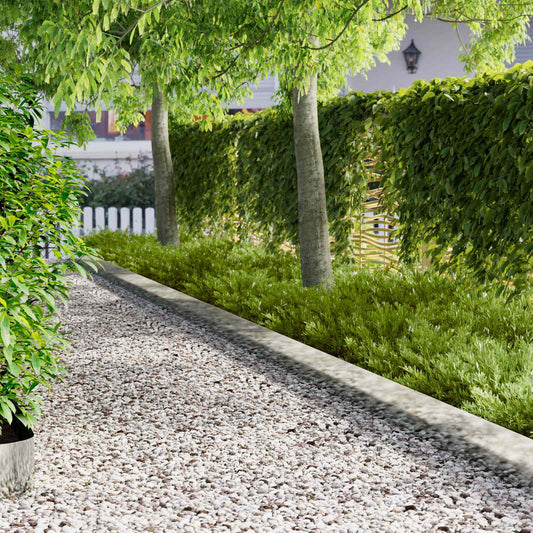 Lawn Edging 20 pcs 102 x 15 x 4 cm Steel Silver