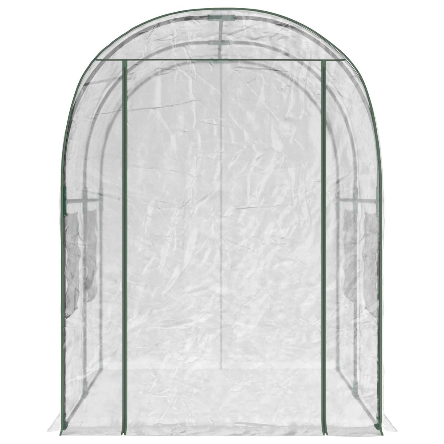 Greenhouse with Frame 160 x 200 x 192.5 cm PVC Transparent