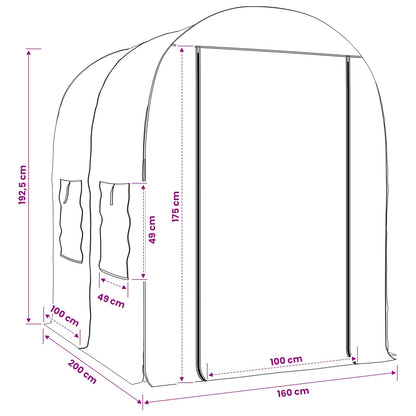 Greenhouse with Frame 160 x 200 x 192.5 cm PVC Transparent