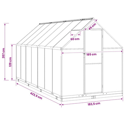 Garden Greenhouse with Door Anthracite 183.5 x 423.5 x 207 cm