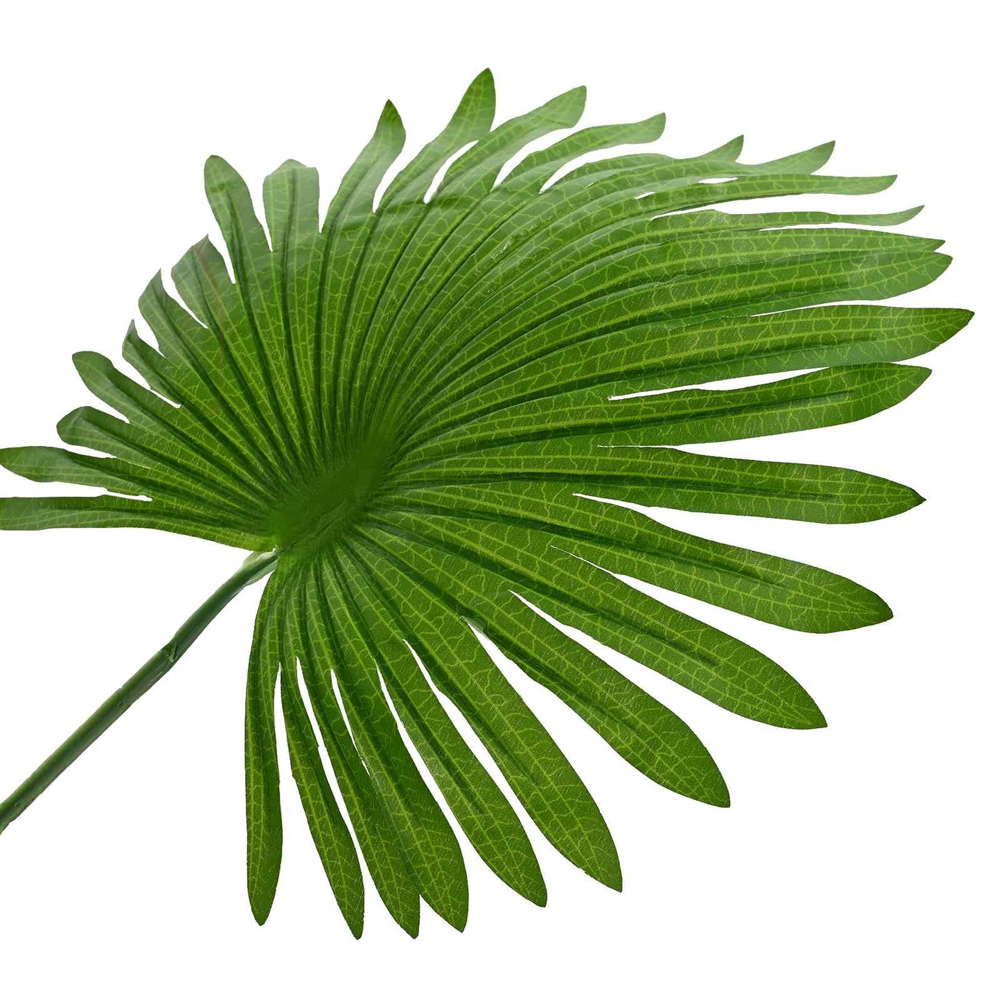 Artificial Fan Palm Tree Green 75 x 25 x 180 cm
