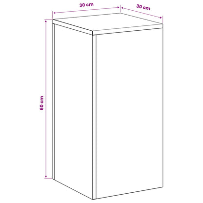 Plant Stand 2 pcs Anthracite 30 x 30 x 60 cm Galvanised Steel