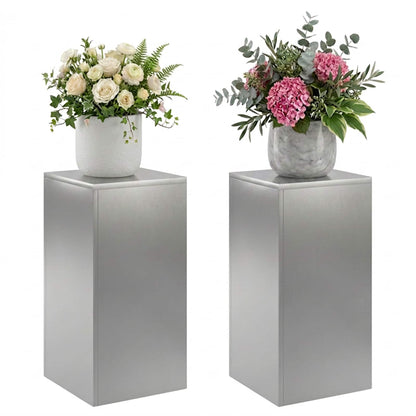 Plant Stand 2 pcs Silver 30 x 30 x 60 cm Stainless Steel
