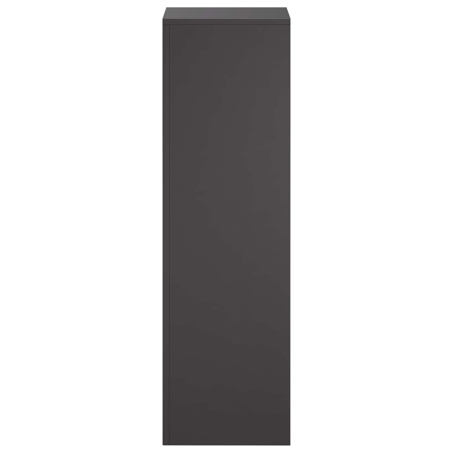 Plant Stand 2 pcs Black 30 x 30 x 100 cm Steel