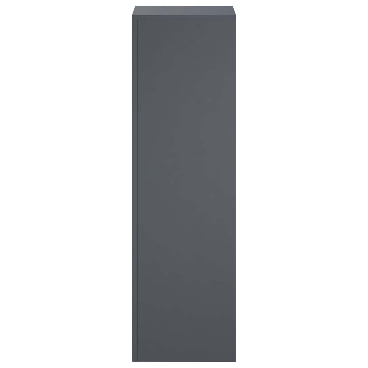 Plant Stand Anthracite 30 x 30 x 100 cm Stainless Steel
