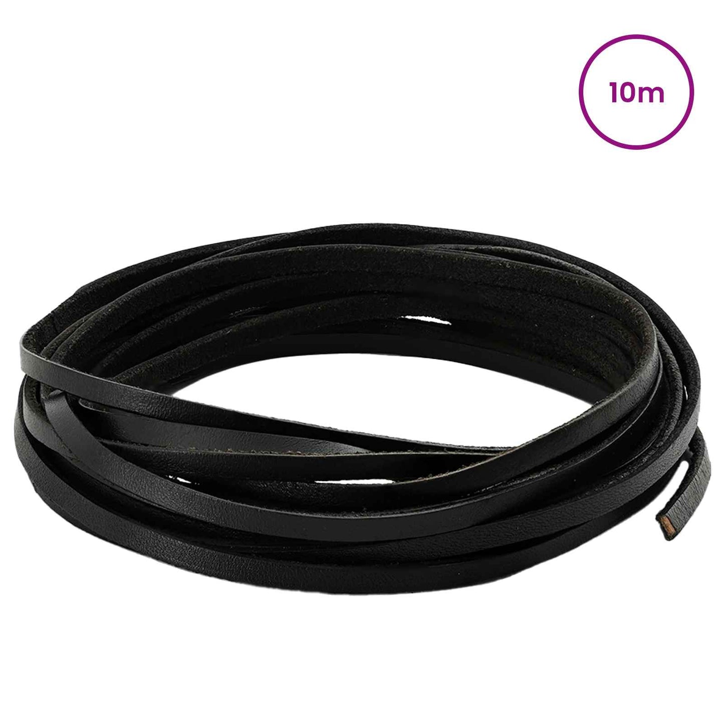 Leather Strap Black 1000 x 0.3 cm Leather