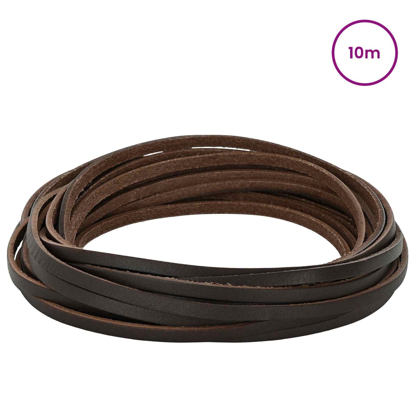 Leather Strap Dark Brown 1000 x 0.3 cm Leather