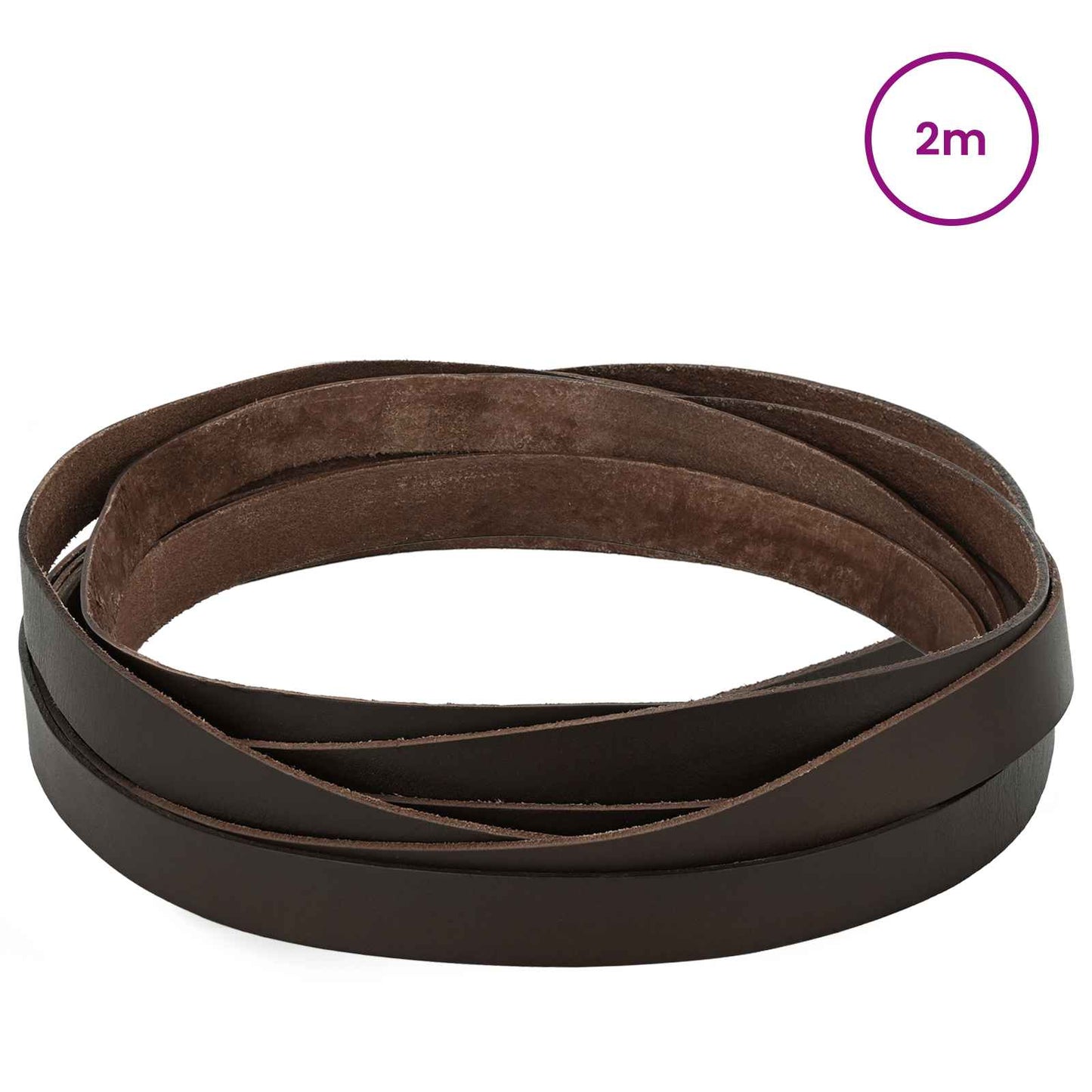 Leather Strap Dark Brown 200 x 2 cm Leather