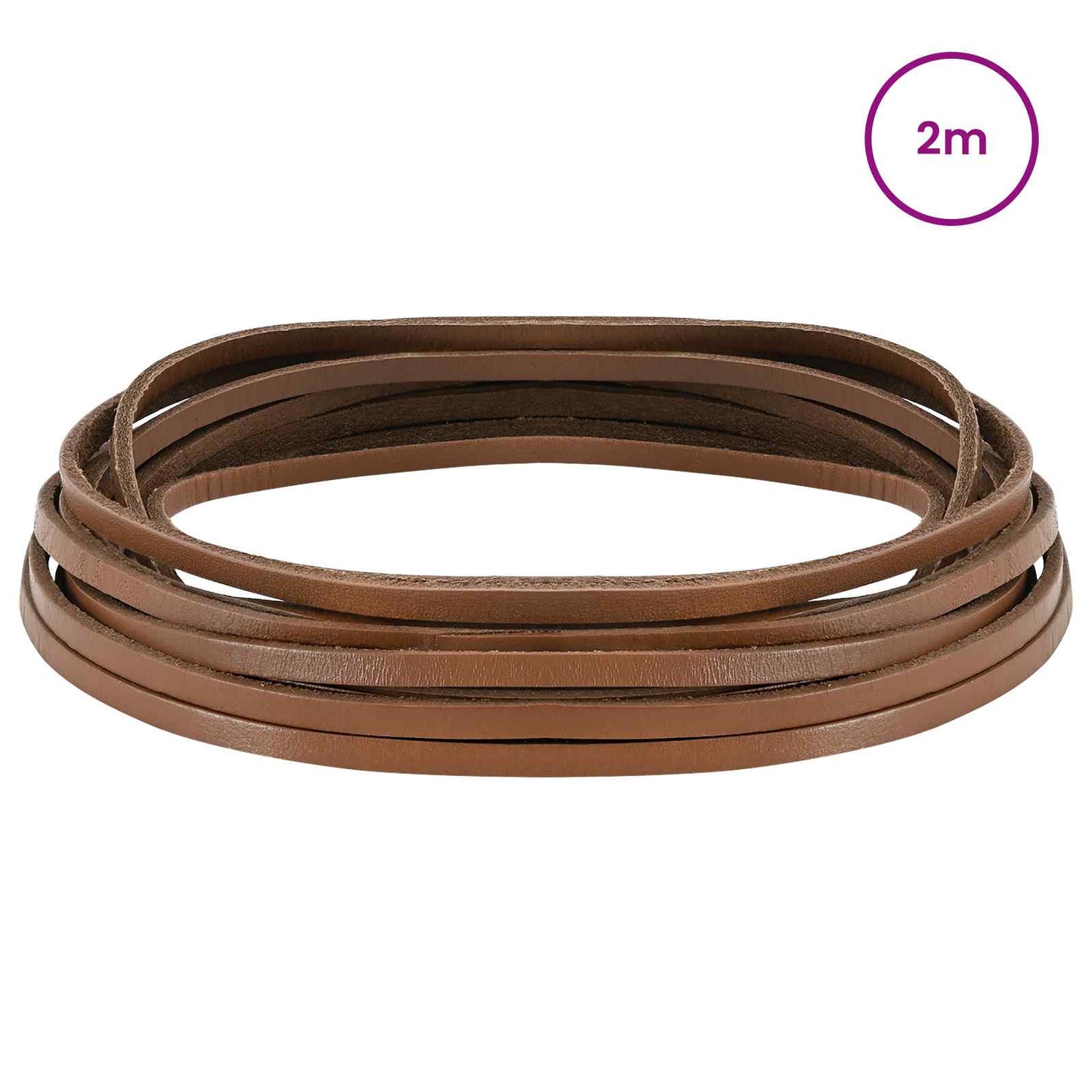 Leather Strap Brown 200 x 0.4 cm Leather