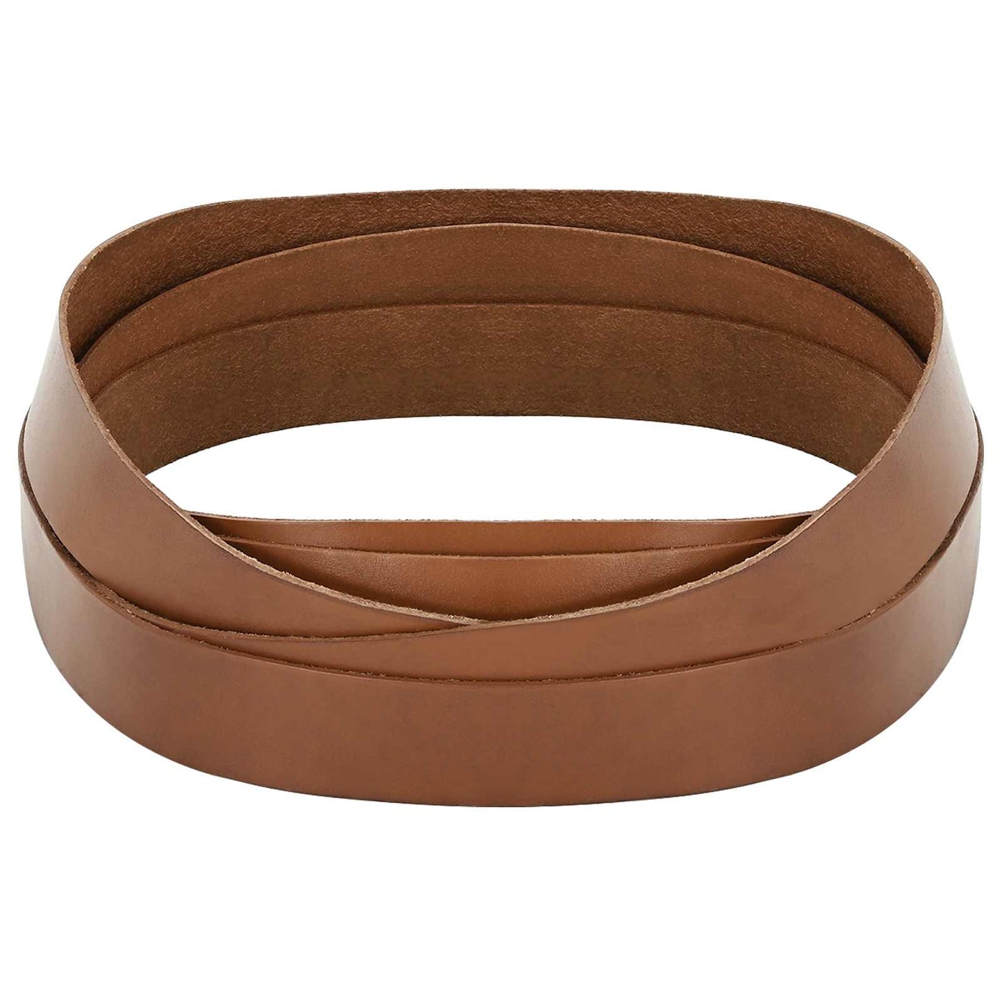 Leather Strap Brown 500 x 2.5 cm Leather
