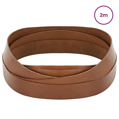 Leather Strap Brown 200 x 4 cm Leather