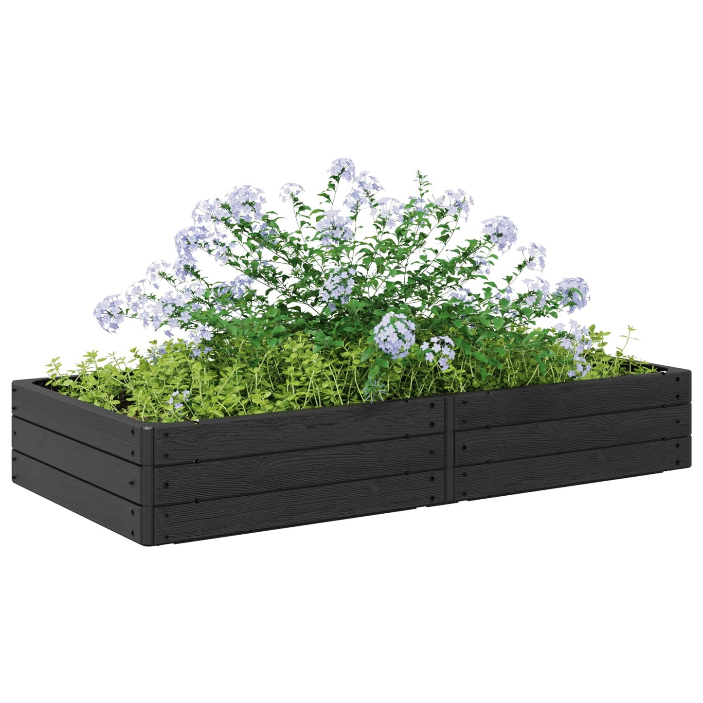 Raised Bed Black 151 x 75.5 x 25 cm PP