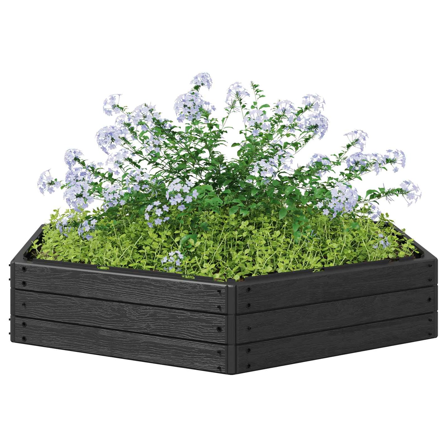Raised Bed Black 148 x 129 x 25 cm PP
