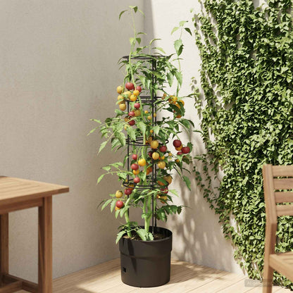 Tomato Grower Black Ø 32 x 127 cm PP