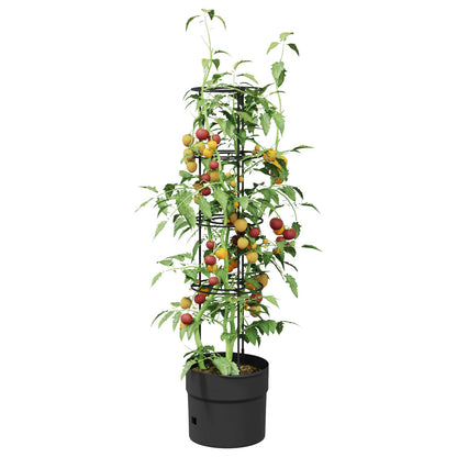 Tomato Grower Black Ø 32 x 127 cm PP