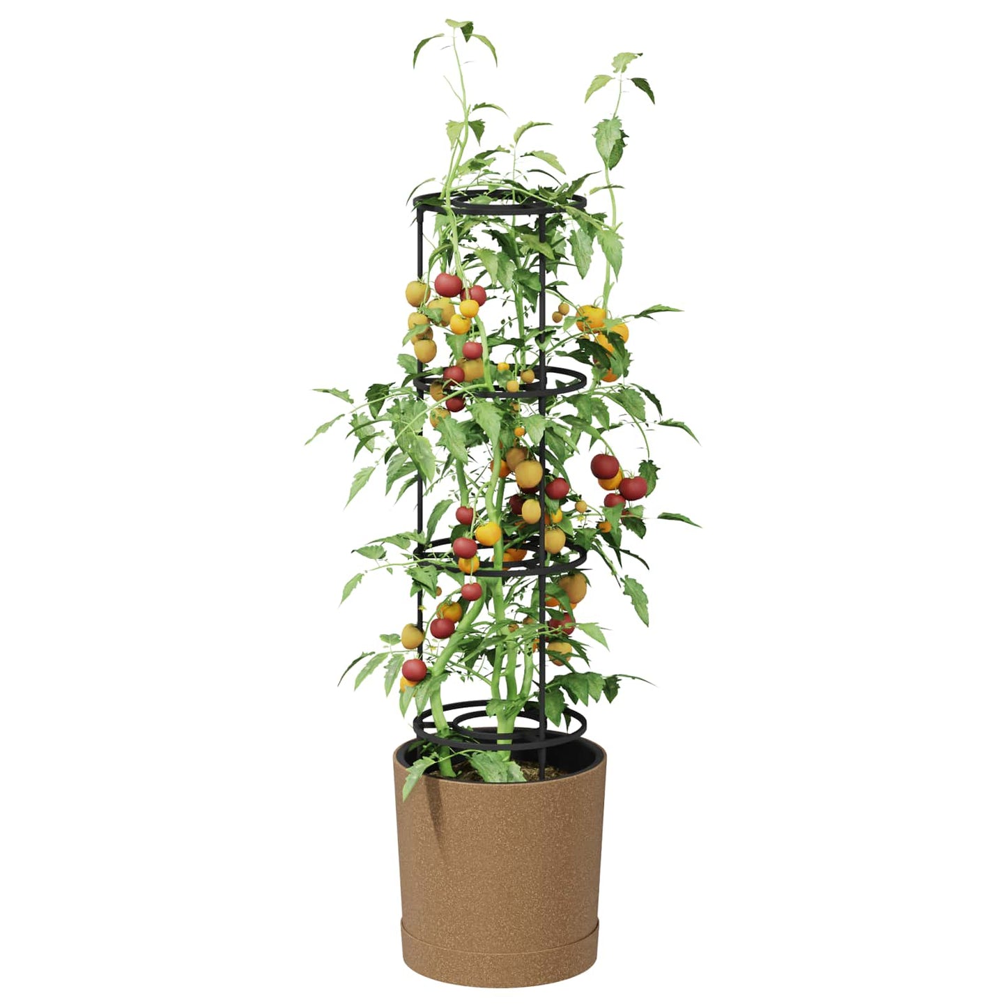 Tomato Grower Naturo ECO Ø 29 x 106 cm WPC