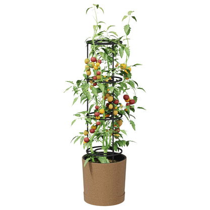 Tomato Grower Naturo ECO Ø 29 x 106 cm WPC