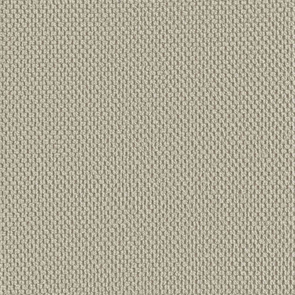 XL Armchair Sand Velvet