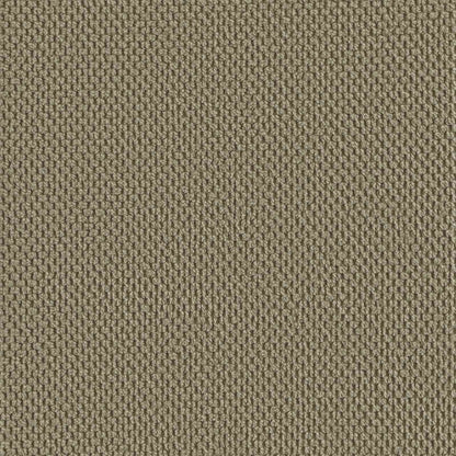 XL Armchair Khaki Velvet