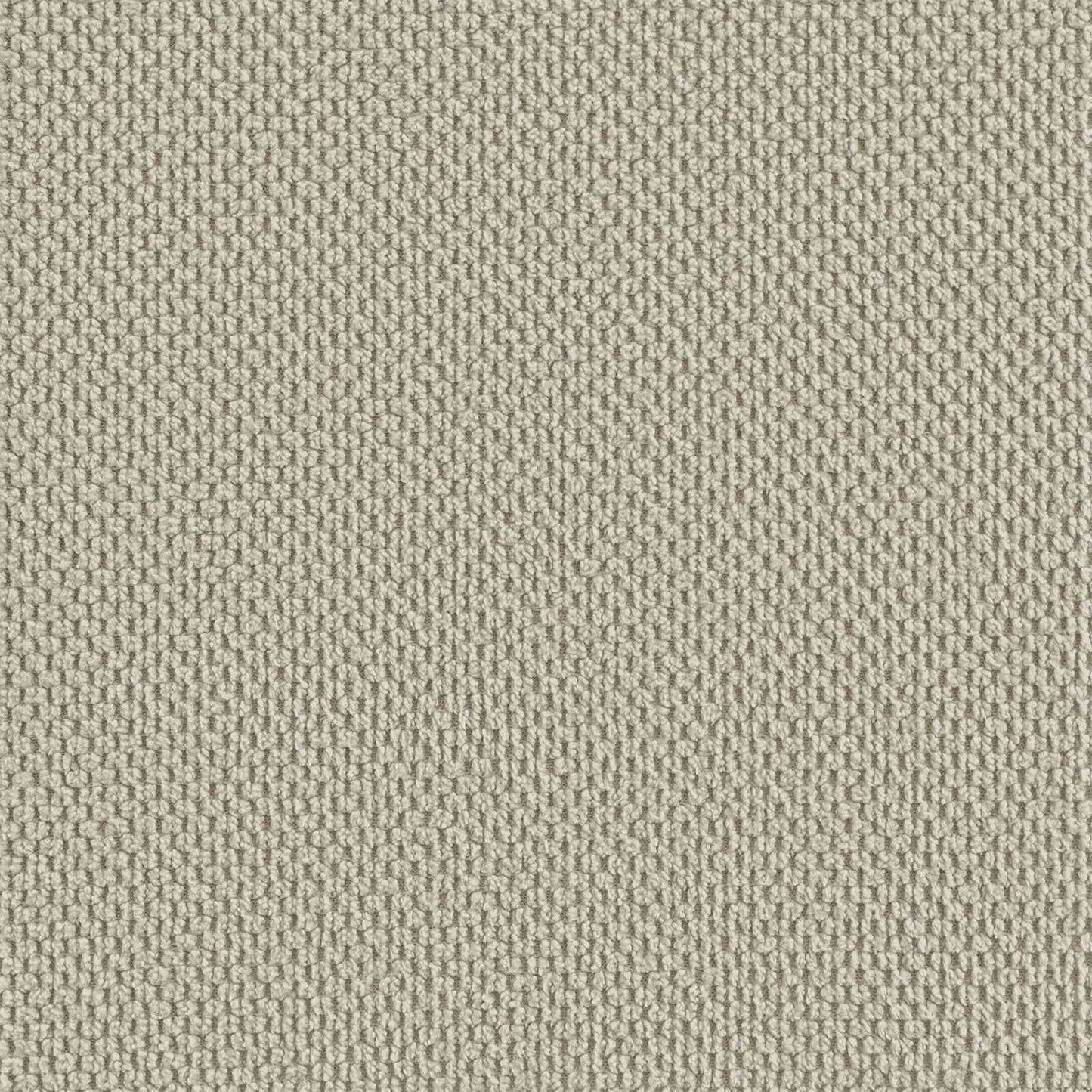 XXL Armchair Beige Velvet