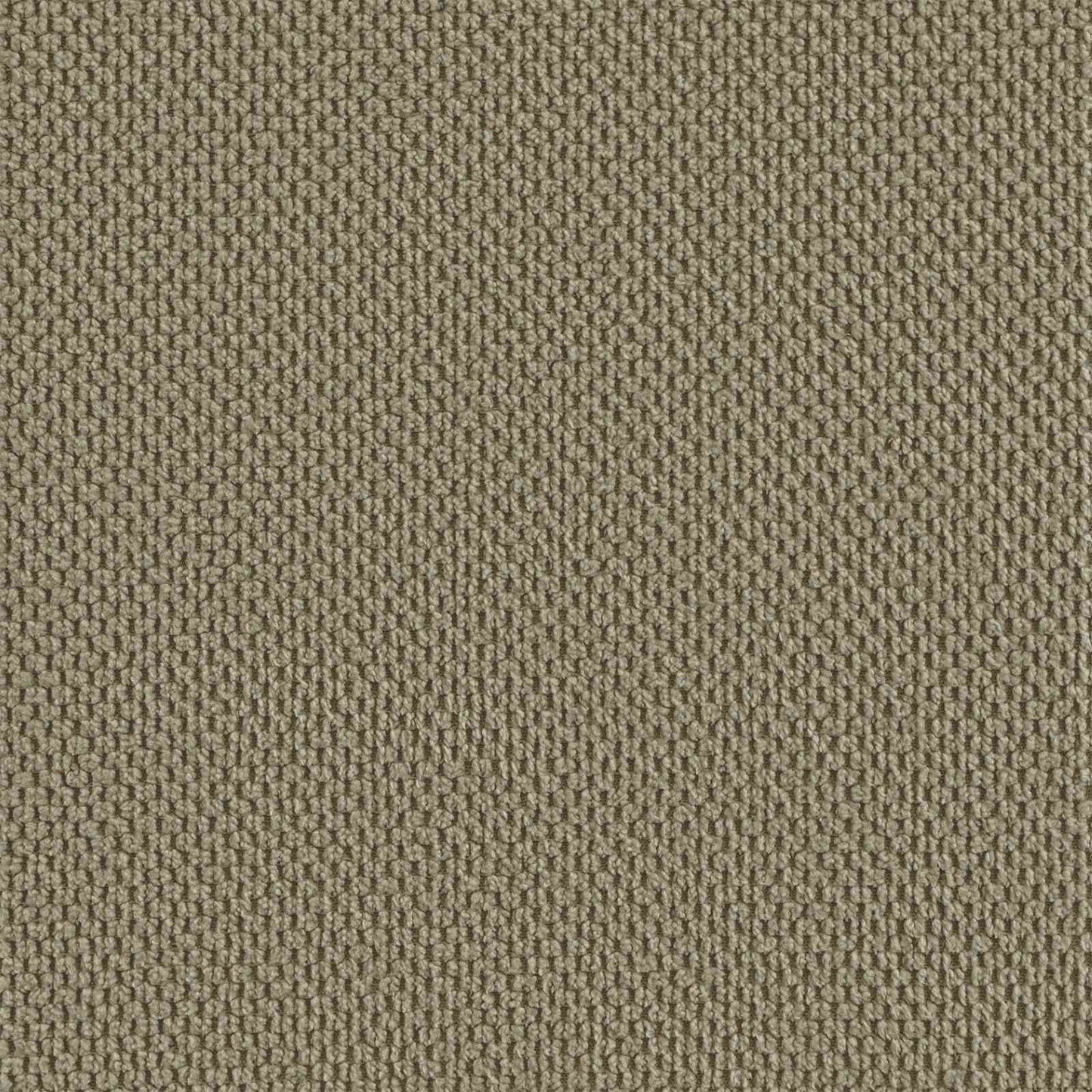 XXL Armchair Khaki Velvet