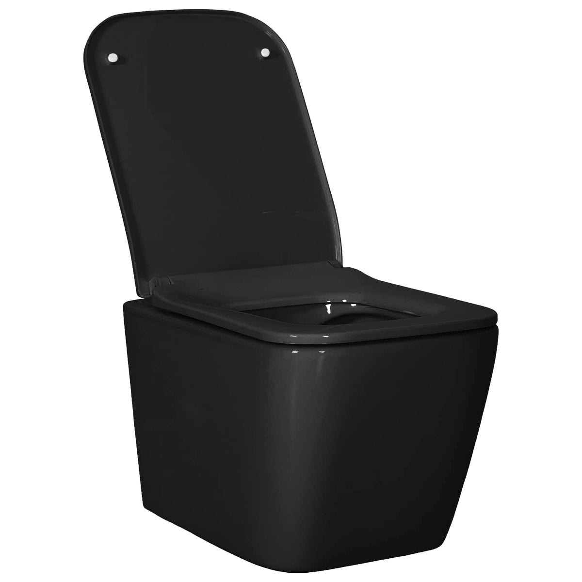 Wall-hung Toilet Ceramic Black