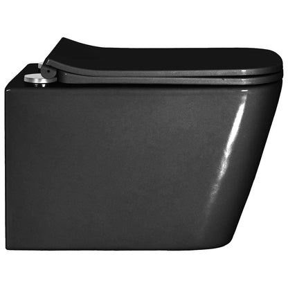 Wall-hung Toilet Ceramic Black