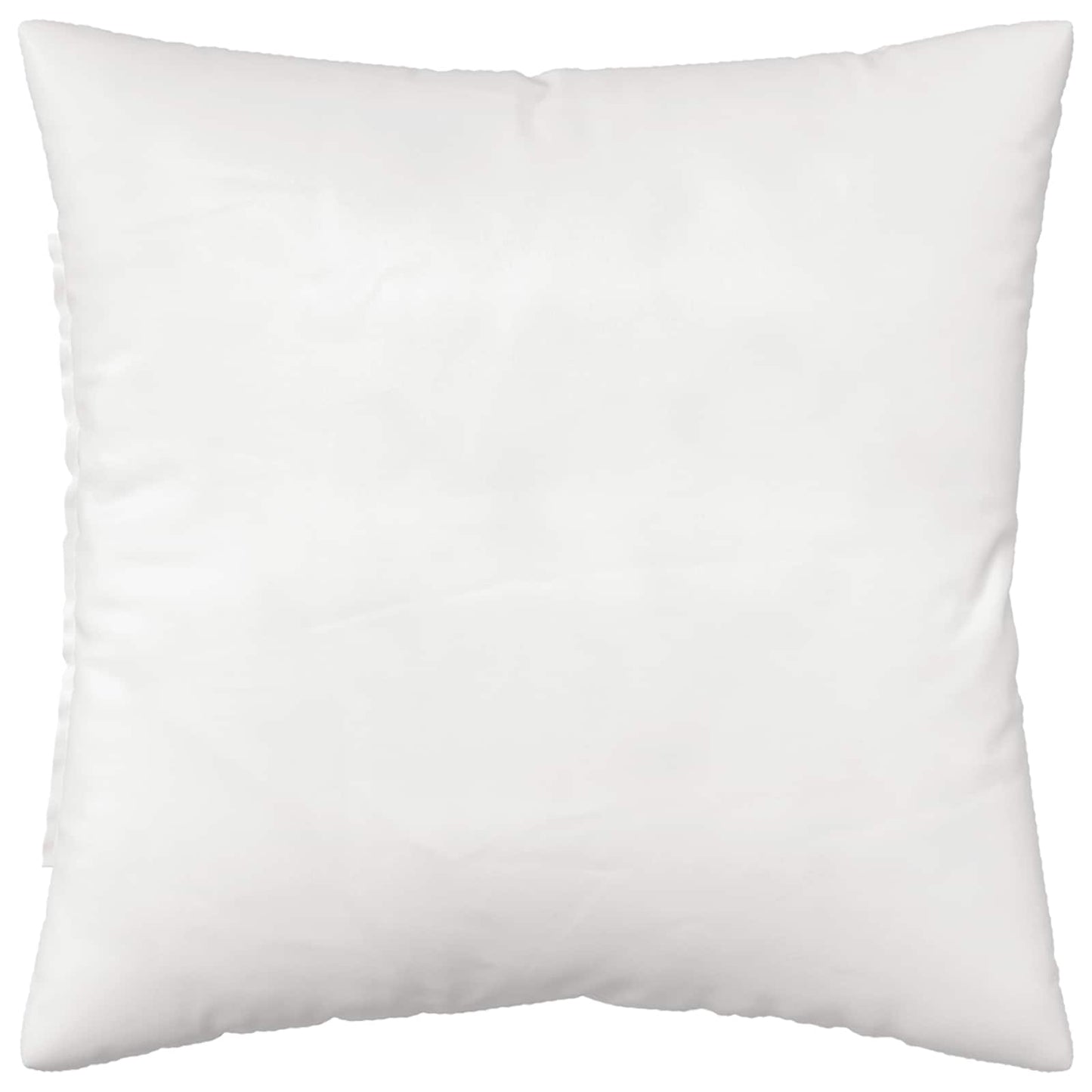 Cushion with Pillow HEERLEN 2 pcs Black Velvet