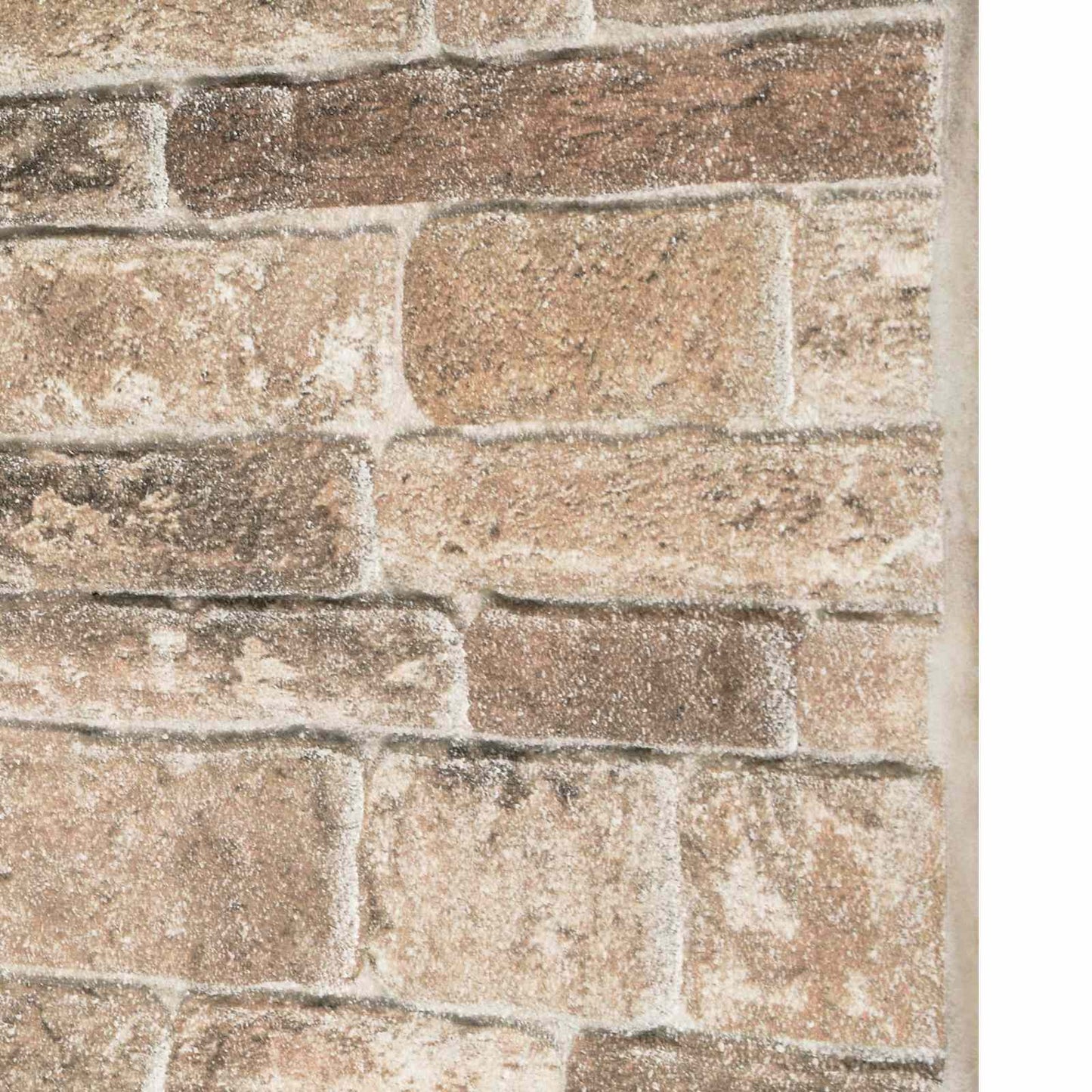 Wall Panels 10 pcs Multicolour 100 x 50 cm EPS Foam