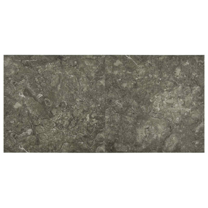 Self-adhesive Flooring Planks 30.5 x 30.5 cm 20 pcs PVC