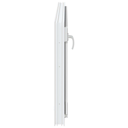 Basement Window RISOR 120 x 55 cm PVC and Glass
