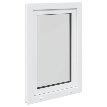 Basement Window Internal Colour White RISOR 50 x 100 cm
