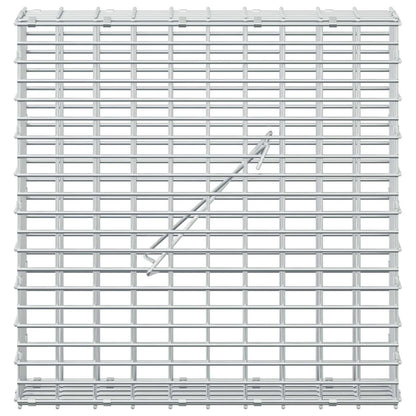 Gabion with 3.5 mm Wire and 5x2.5 cm Mesh 50x10x50 cm