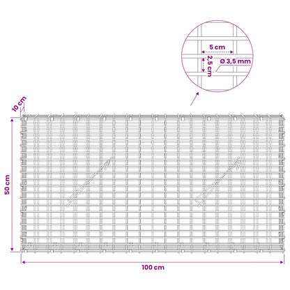 Gabion with 3.5 mm Wire and 5x2.5 cm Mesh 100x10x50 cm