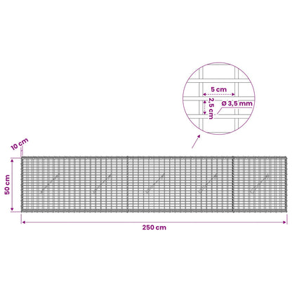 Gabion with 3.5 mm Wire and 5x2.5 cm Mesh 250x10x50 cm